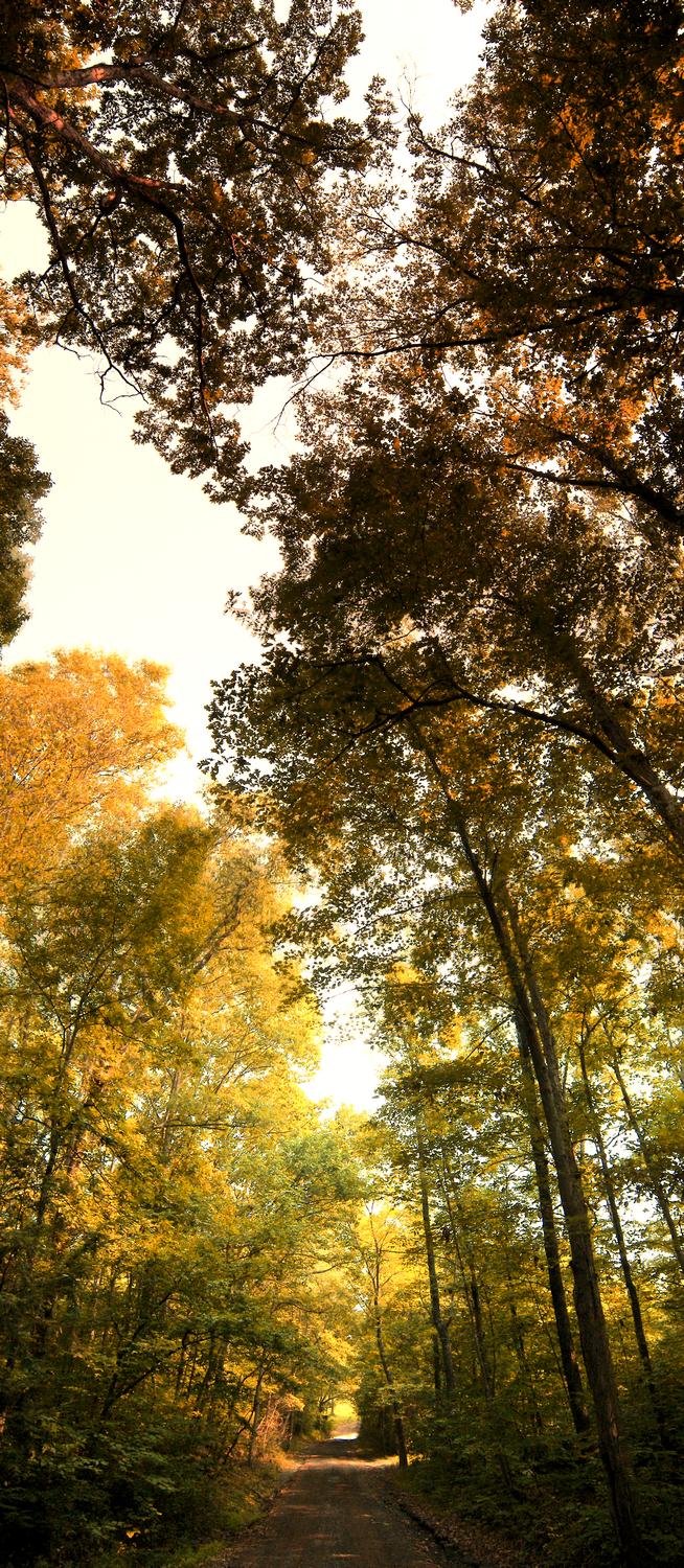 view of the bull run stream at the end of Little River Road a summer view given autumn colors - <center>The road to Bull Run - Techno-Impressionist Museum - Techno-Impressionism - art - beautiful - photo photography picture - by Tony Karp