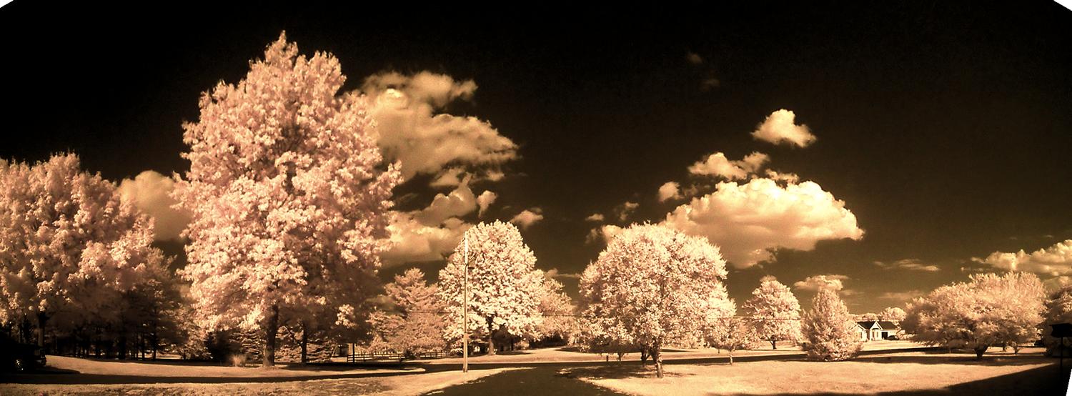 Tree panorama in infra red - by Tony Karp - Yes it is heaven - Techno-Impressionist Museum - Techno-Impressionism - art - beautiful - photo photography picture - by Tony Karp