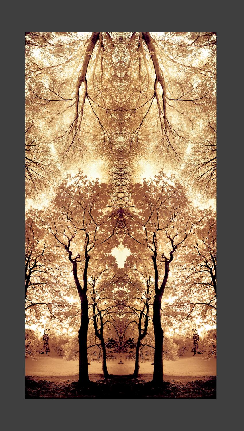  - Message from the trees - Techno-Impressionist Museum - Techno-Impressionism - art - beautiful - photo photography picture - by Tony Karp