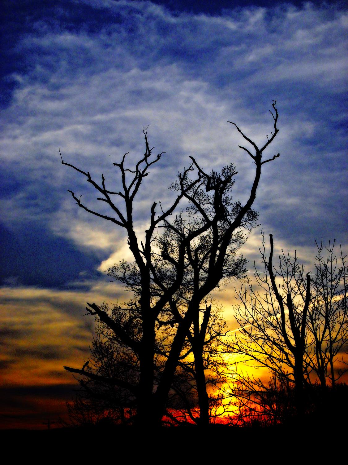  - Sunset in the graveyard of the trees - Techno-Impressionist Museum - Techno-Impressionism - art - beautiful - photo photography picture - by Tony Karp