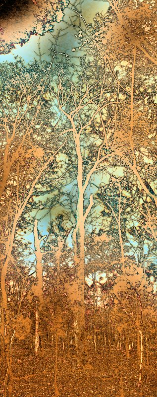 trees, woods,  art nouveau , Techno-Impressionist by Tony Karp - In the woods - Techno-Impressionist Museum - Techno-Impressionism - art - beautiful - photo photography picture - by Tony Karp