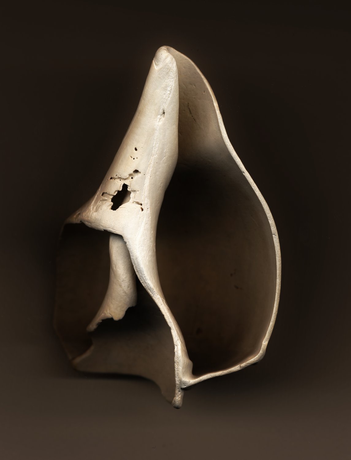  - Broken Shell  - Techno-Impressionist Museum - Techno-Impressionism - art - beautiful - photo photography picture - by Tony Karp